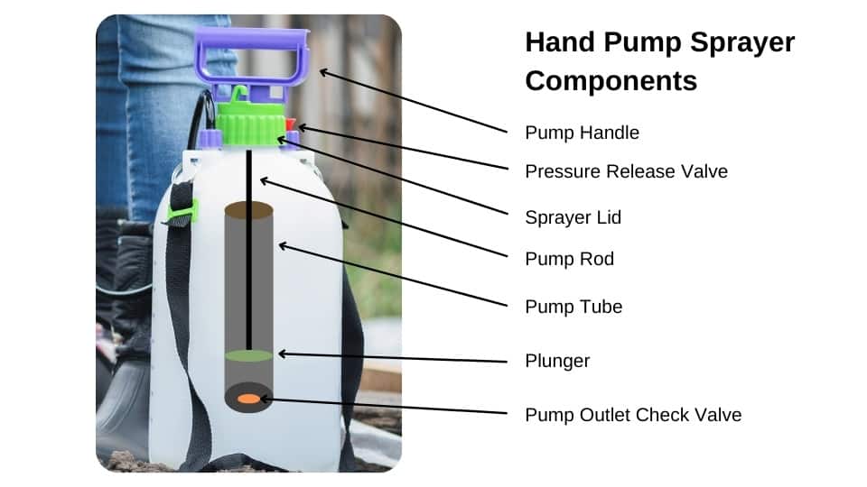 The parts of a hand pump sprayer
